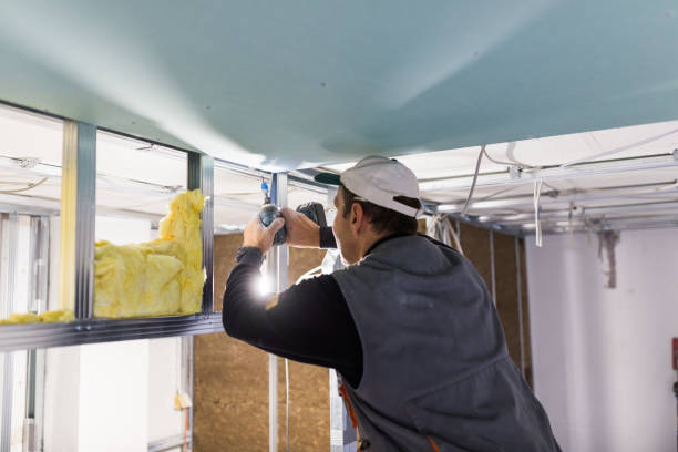 Best Geographic-Specific Insulation Services in North Patchogue, NY