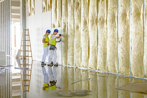 Best Eco-Friendly Insulation in North Patchogue, NY